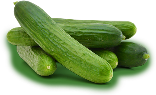 Pepino - Pepino Grosso (496x311), Png Download