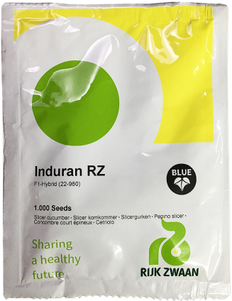 Sea Lettuce (500x500), Png Download