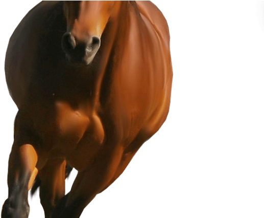 Horse Png Image Hd Wallpaper Download For Android Mobile - Horse Png (680x425), Png Download