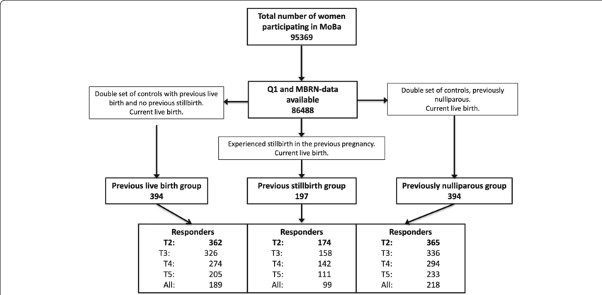 The Norwegian - Diagram (850x417), Png Download