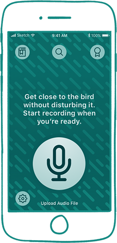 Cs Identify - Portable Network Graphics (241x500), Png Download