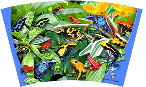 Dart Frogs 16oz Tumbler, Tumbler - Ravensburger Friendly Frogs - 300 Piece Puzzle (500x353), Png Download