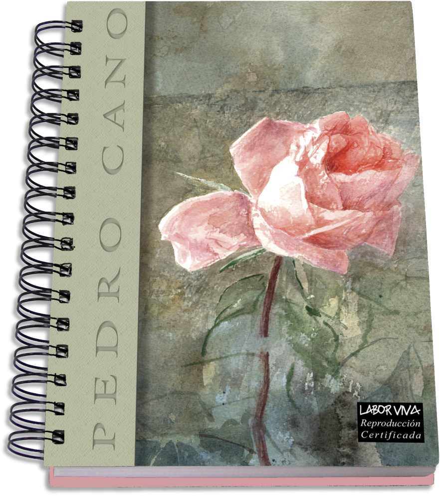 Colección Agendas Pedro Cano - Diary (954x1080), Png Download