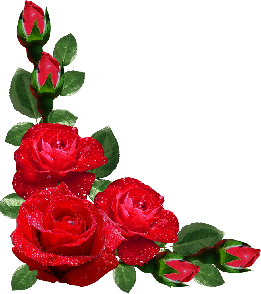 Red Roses Border Png - Rose Corner Border Png (909x1024), Png Download
