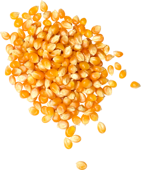 Popcorn Seeds & Oils - Junk Food (450x543), Png Download