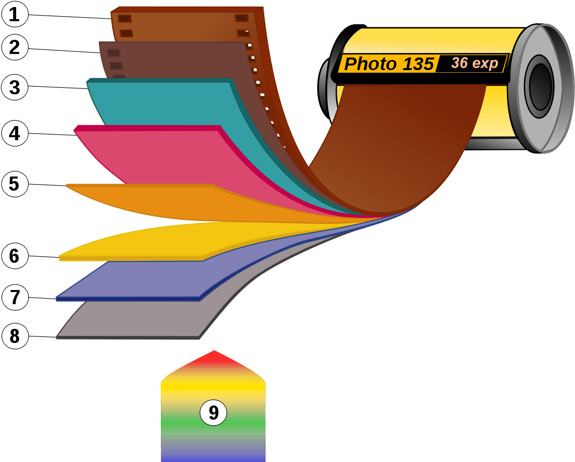 Photographic Film (1200x949), Png Download