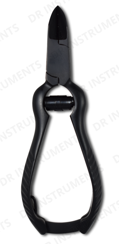 More Views - Nipper (800x800), Png Download