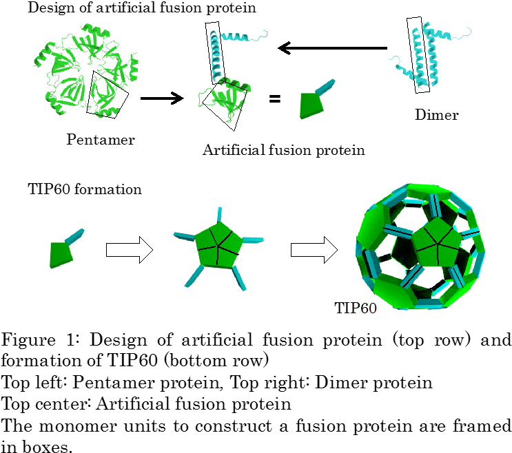 Creating Nanoscale "soccer Ball Shaped Molecules" With - Nanomaterials (775x691), Png Download