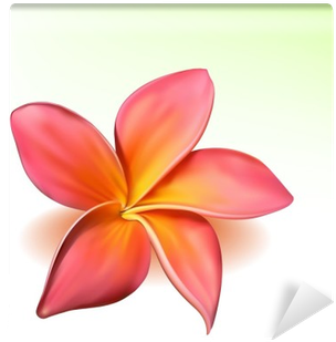 Photo-realistic Vector Beautiful Pink Plumeria Flower - Plumeria Flower (400x400), Png Download