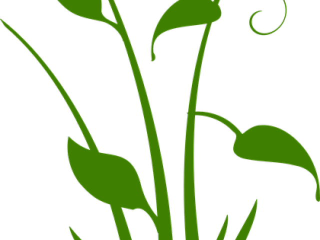Vector Swirl Clipart Plant - Black Flower Silhouette Transparent (640x480), Png Download