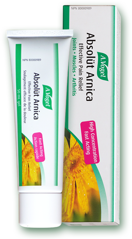 Vogel Absolüt Arnica Gel - Arnica Vogel (800x800), Png Download