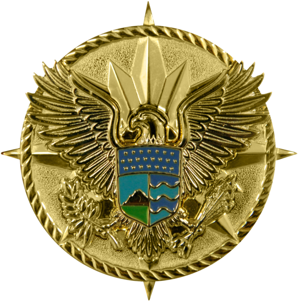 Office Of The Secretary Of Homeland Security Identification - United States Department Of Homeland Security (597x599), Png Download