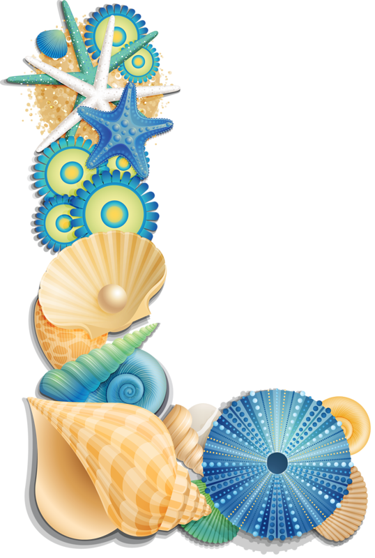 Фото, Автор Arana На Яндекс - Letter Sea Shell L (538x800), Png Download