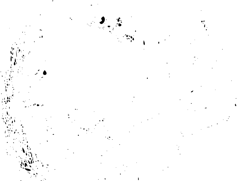 Medium Image - Black And White (800x608), Png Download