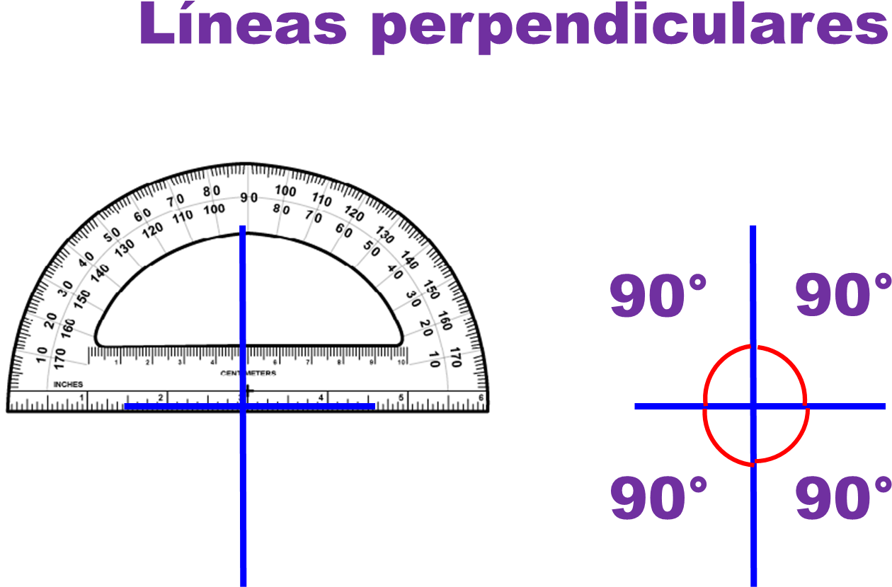 Trazosperpendiculares4 - Louvre Clip Art (1314x877), Png Download