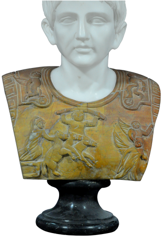 St-15 - Bust (500x500), Png Download