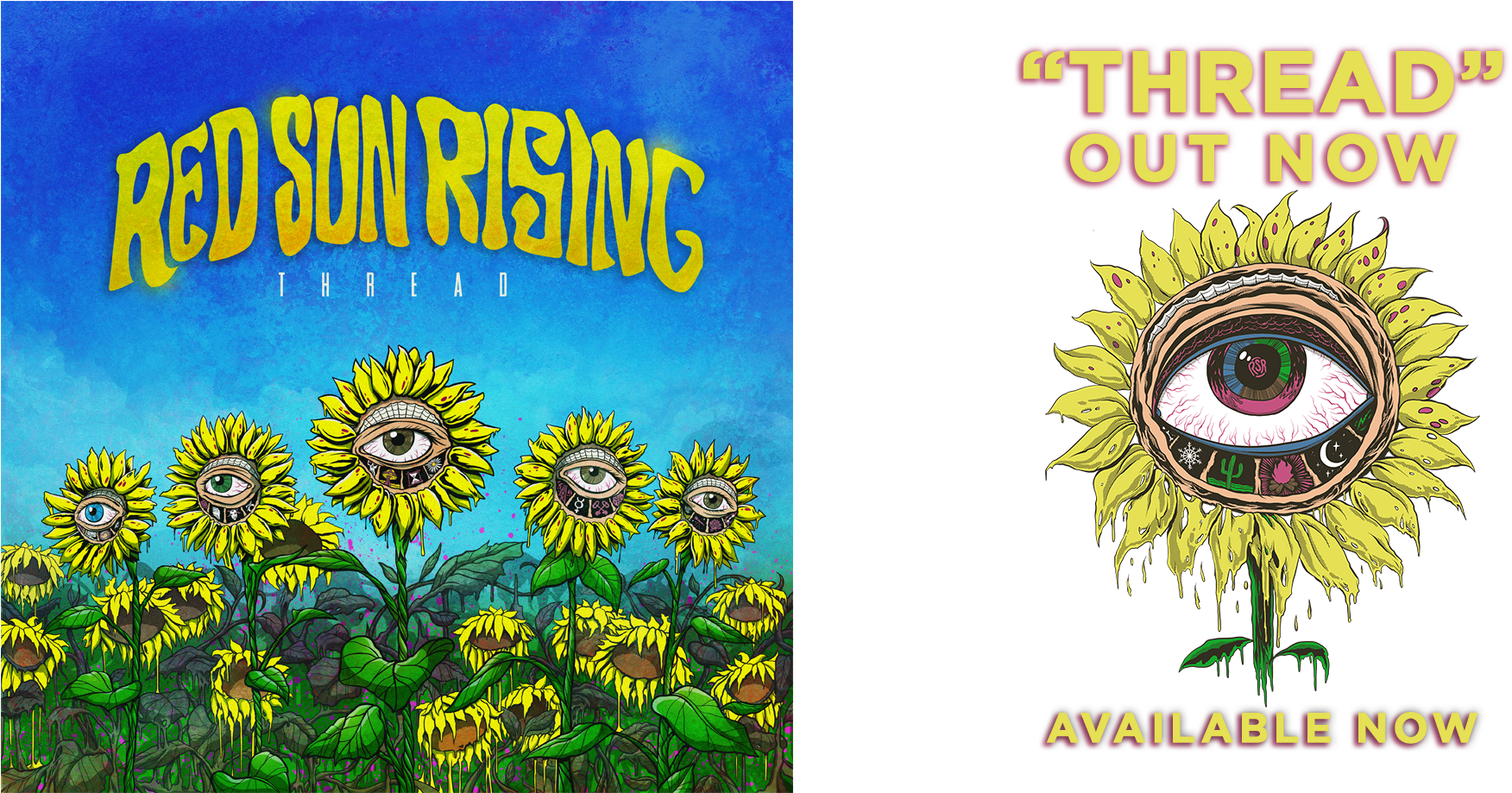 Featured Products - African Daisy (2000x1008), Png Download