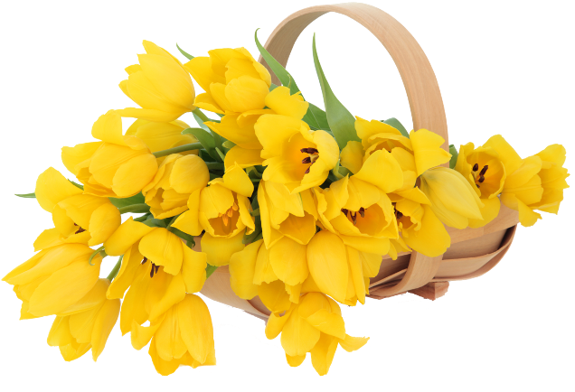 Hoy Te Regalamos Hermosas Imágenes En Png De Flores - Yellow Flowers Basket (650x447), Png Download