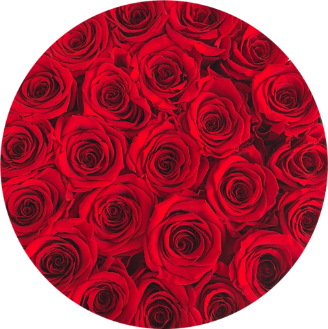 The Brilliant Eternity Roses White Round Flower Box - Flower Box (478x480), Png Download