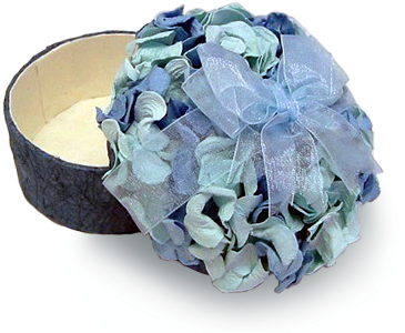 See 5 More Pictures - Hydrangea (420x332), Png Download
