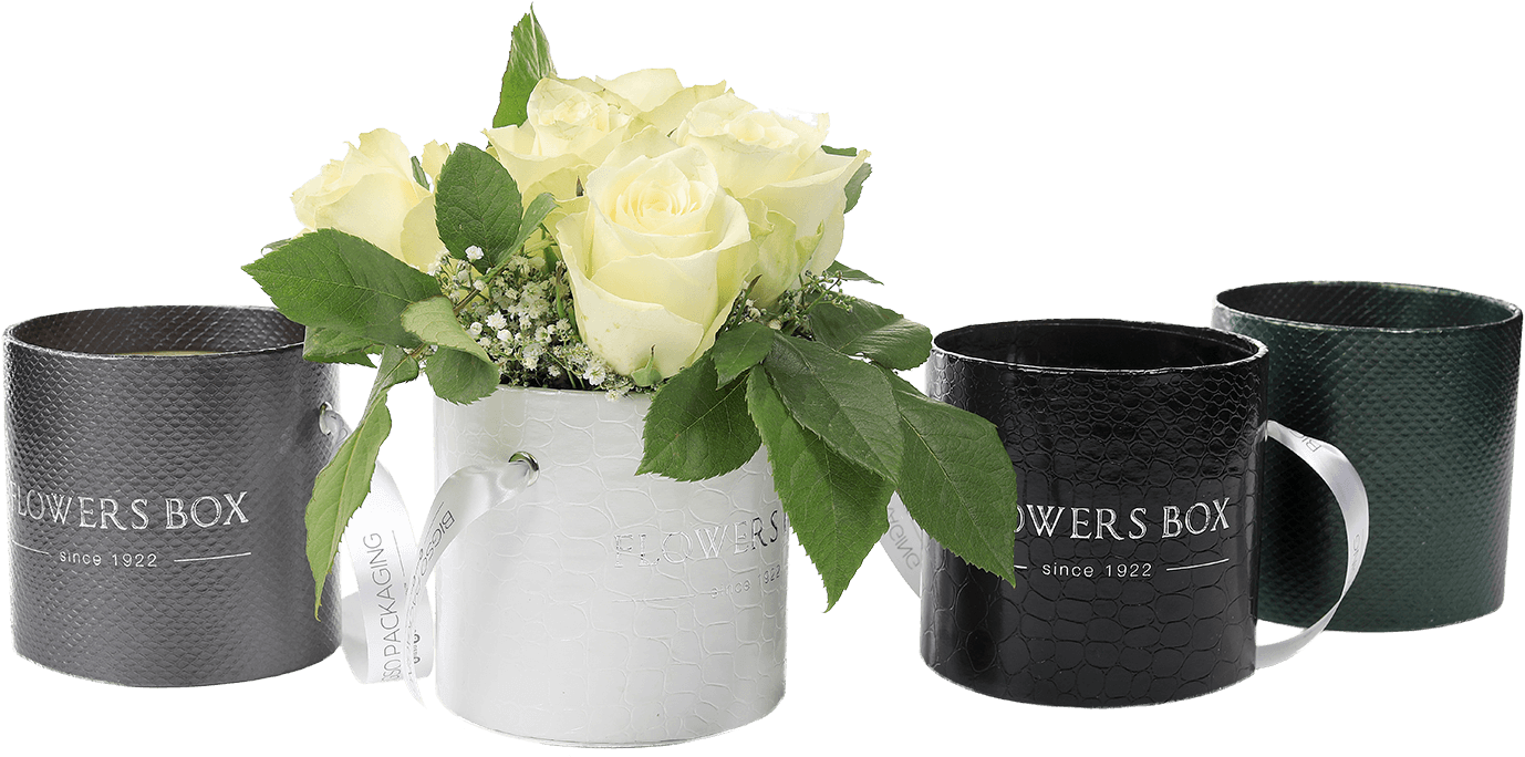 Tube Flower Box - Flower (1440x773), Png Download