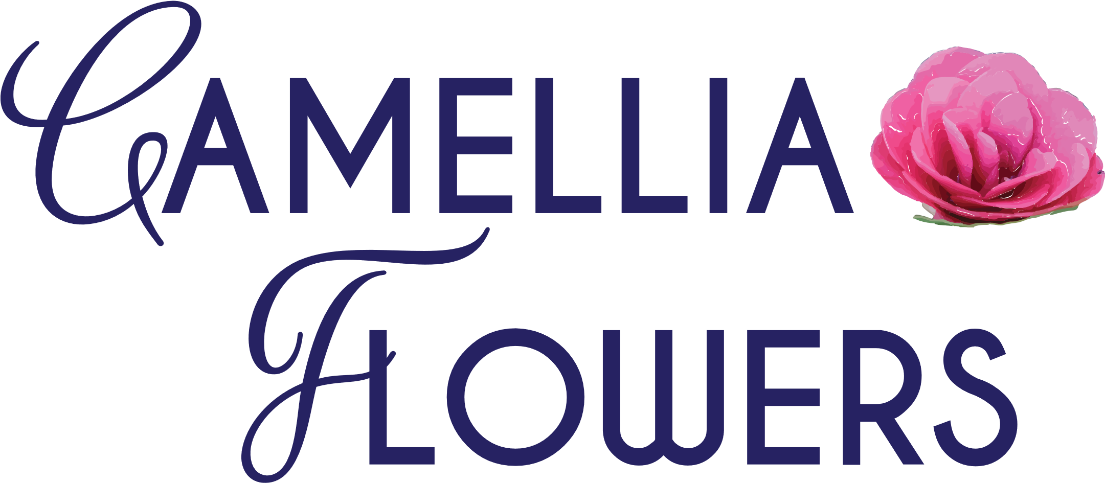 Camellia Flowers Melbourne Florist Camellia Flowers - D And K Love (2160x1332), Png Download