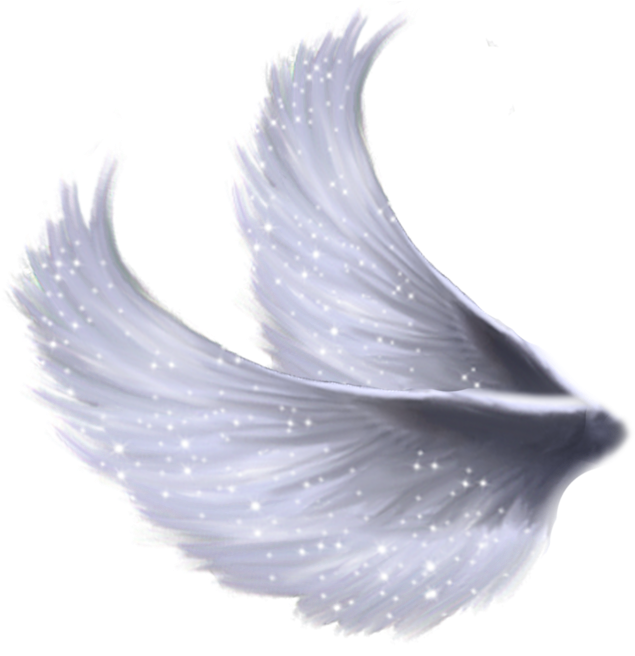 Asas De Anjo Para Montagem Png - Wings Image Png Transparent (695x655), Png Download