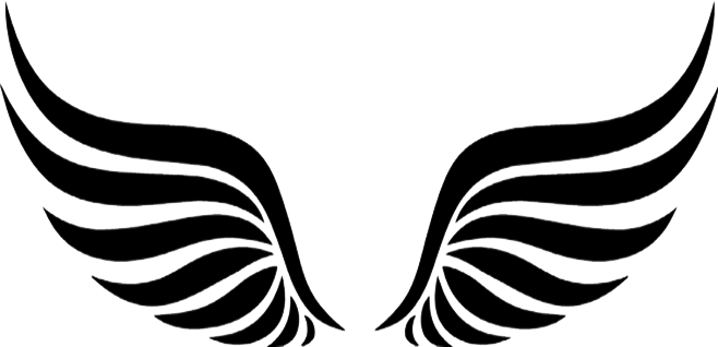 Download Hd Asas Asa Transparent Png Image Nicepng Com