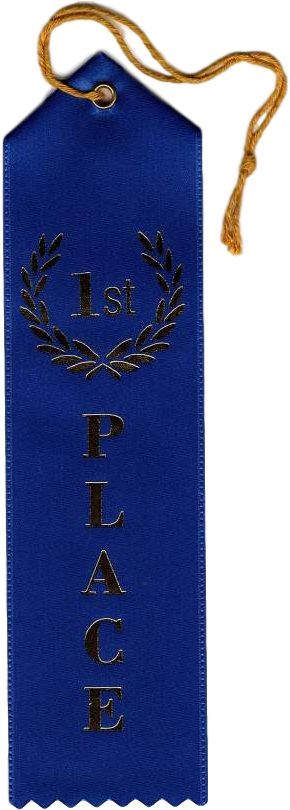 A-98 First Place Ribbon - Ribbon (350x830), Png Download