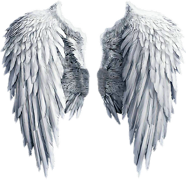 Angel Wing Transparent Png (634x630), Png Download