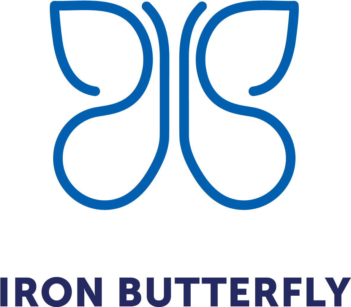 Iron Butterfly Consulting - Gate Academy (1234x1101), Png Download