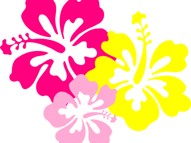 Pink And Yellow Flowers Png (640x480), Png Download