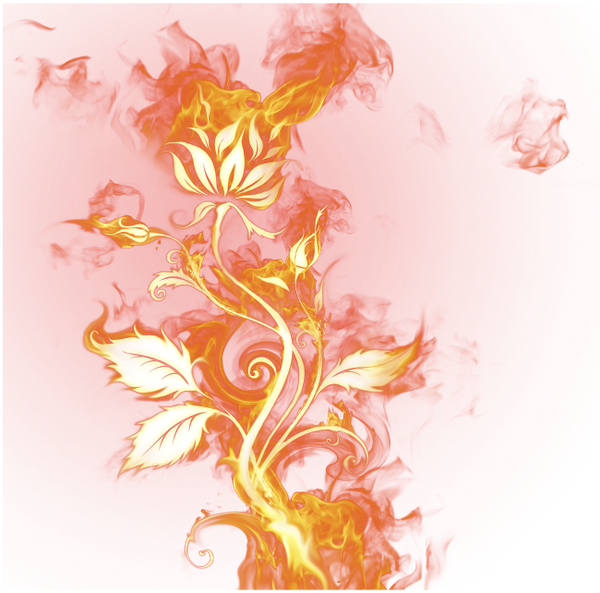 Огонь Png, Огненный Цветок, Пламя, Дым, Png Fire, Fire - Rose On Fire Png (600x593), Png Download
