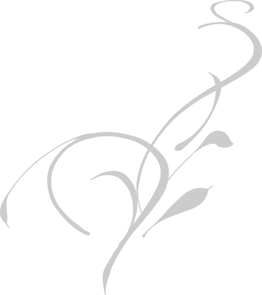 Flourish Png - Vine Clip Art (528x595), Png Download