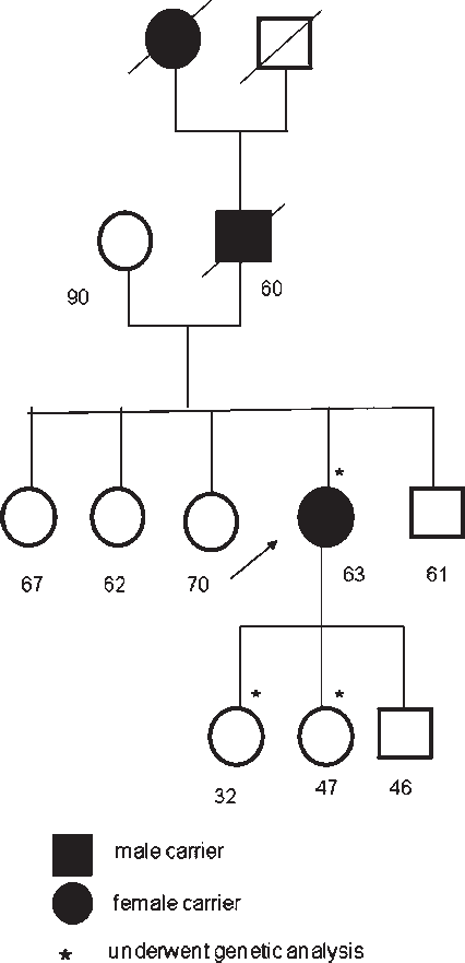 Slashes Indicate Dead Individuals - Diagram (426x881), Png Download