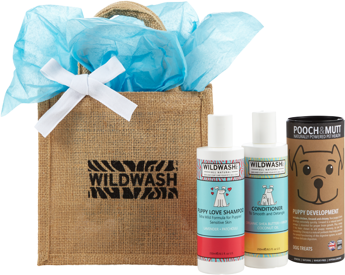 Our Puppy Love Gift Set Is The Perfect Present For - Gift Bag Shampoo (800x800), Png Download