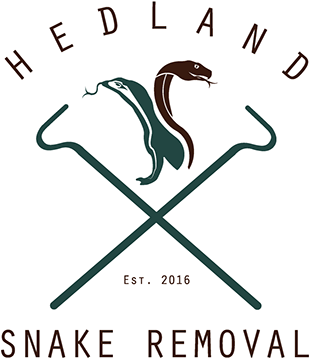 Thank You - Illustration (1200x849), Png Download