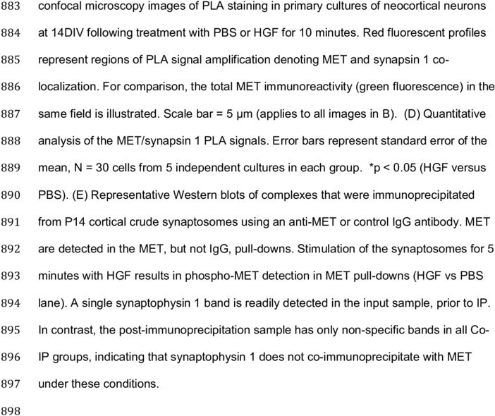 899 Representative Western Blots Of Crude Neocortical - Sorting Algorithm (850x706), Png Download