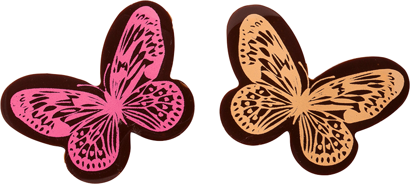 Butterfly (1000x1000), Png Download