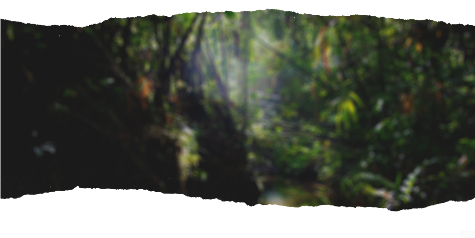 Progressbar-background - Wood (960x515), Png Download