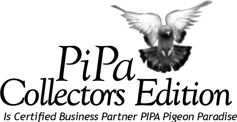 Sparrow (800x413), Png Download