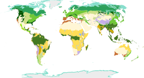 Temperate Grasslands Of The World (500x272), Png Download