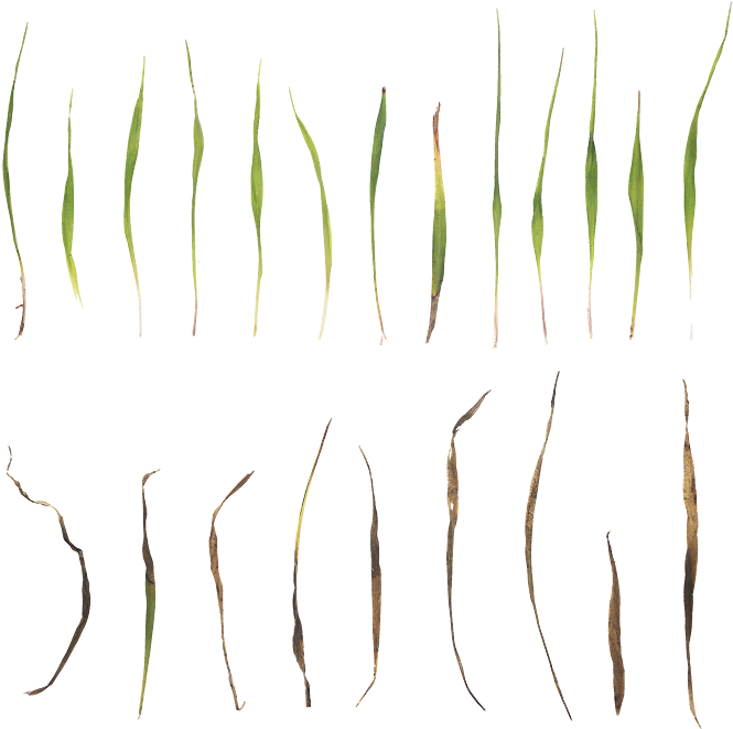 0 - United States Of America (720x720), Png Download