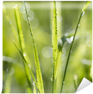 Dew (400x400), Png Download