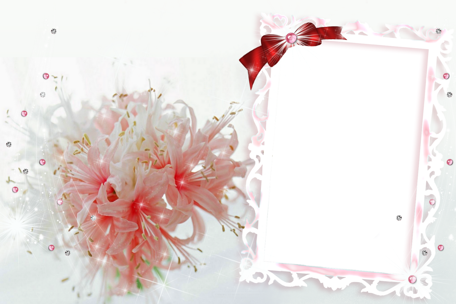 Download Do Pacote Molduras Para Foto Com Varios Tom - Purple (1600x1066), Png Download