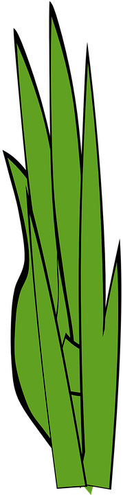 Grass Clip Art At Clker Vector Clip Art Online Royalty - Openclipart (360x720), Png Download