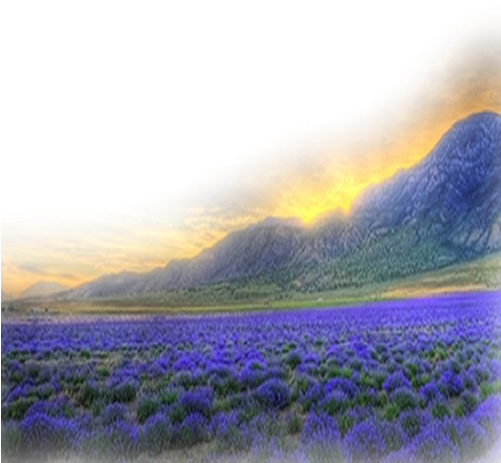 Lupin (500x500), Png Download