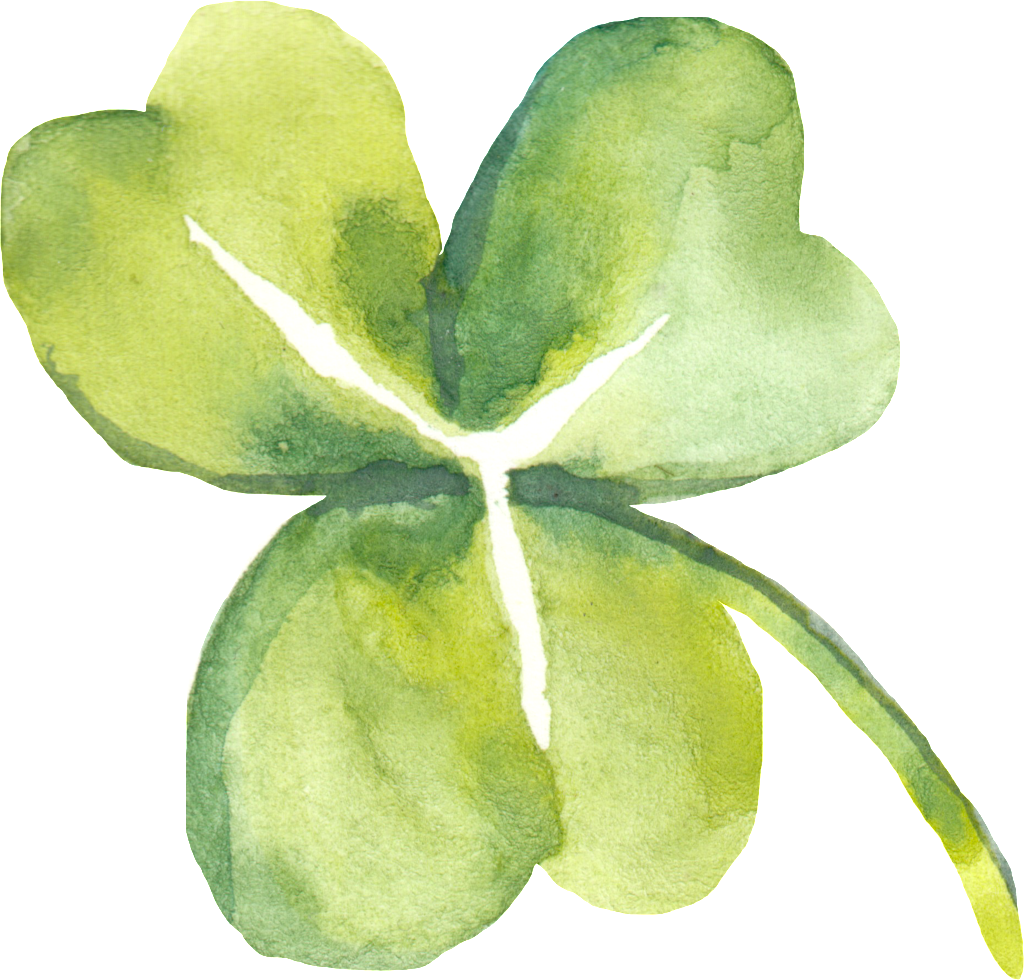 Green Plant Clover Transparent Decorative - Saint Patrick's Day (1024x980), Png Download