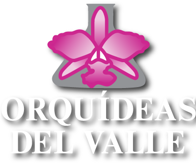 Orquídeas Del Valle - Graphic Design (400x362), Png Download