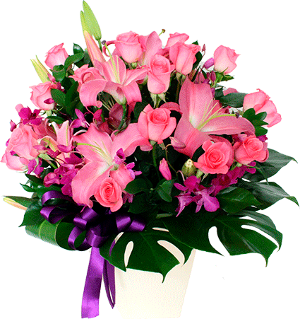 Arreglo De Orquideas Rosas Y Acapulcos - Arreglo De Orquideas Naturales (425x451), Png Download